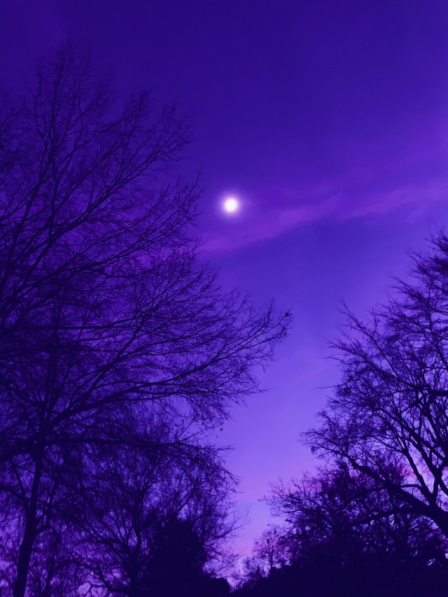 violet aesthetic | Tumblr