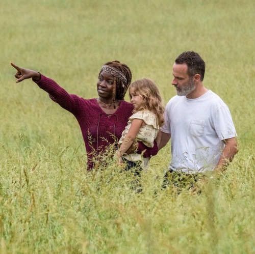 dolphinsmooth9:“Rick and Michonne are very clear with each...