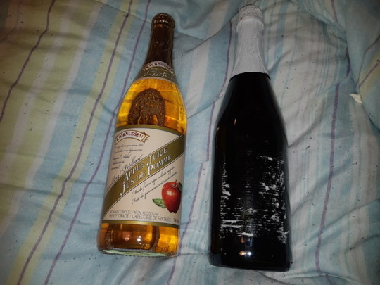 wine bottle dmg