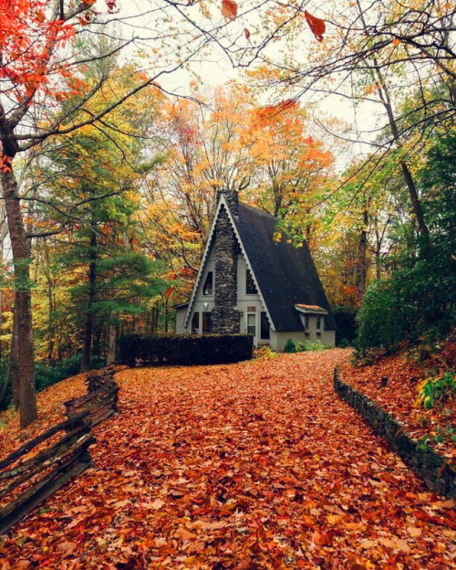 house fall leaves autumn reblog