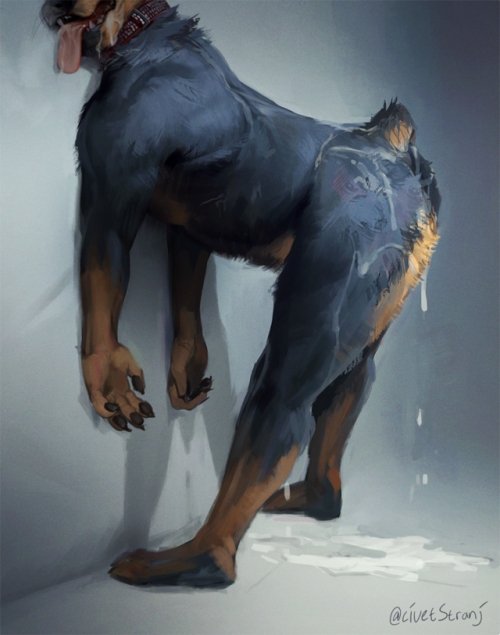 hotline-yiff:Rottweiler Ass[x] [x][x][x][x] [x]...