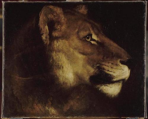 artist-gericault:The head of lion, Theodore Gericault