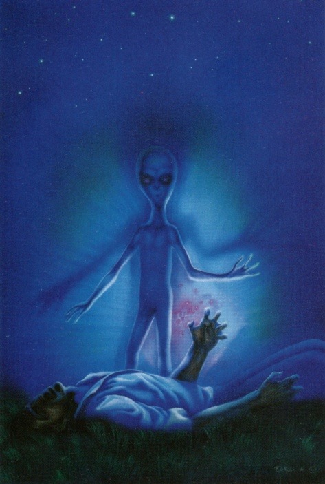 starseed-ascension:Shared dream or abduction?It was in the...