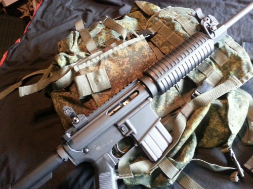 Bare bones ar 15 that I bought with this years PFD ( I live in...