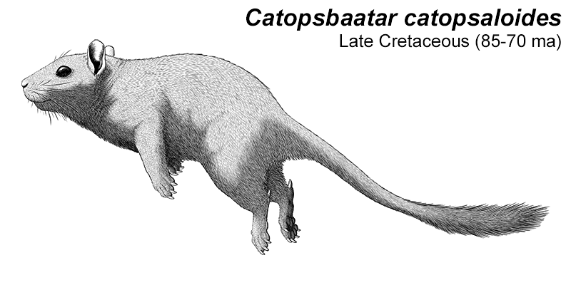 Month of Mesozoic Mammals #18: Leaps and Bounds... | Nix Draws Stuff