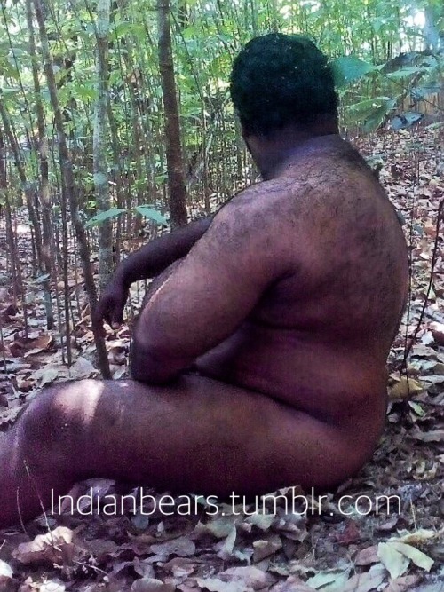 indianbears:Probably the only dedicated INDIAN BEARS blog in...