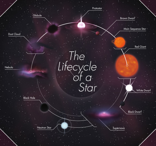 wonders-of-the-cosmos:The life cycle of a star