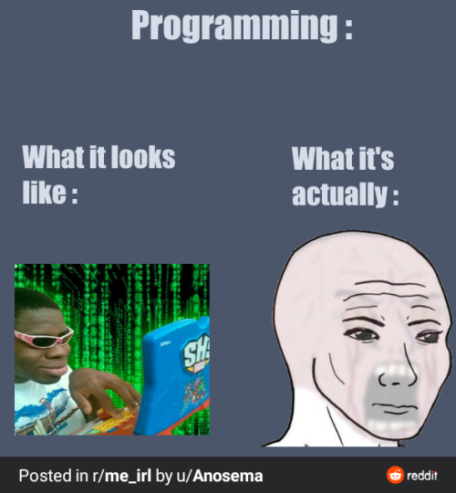 programmerhumour