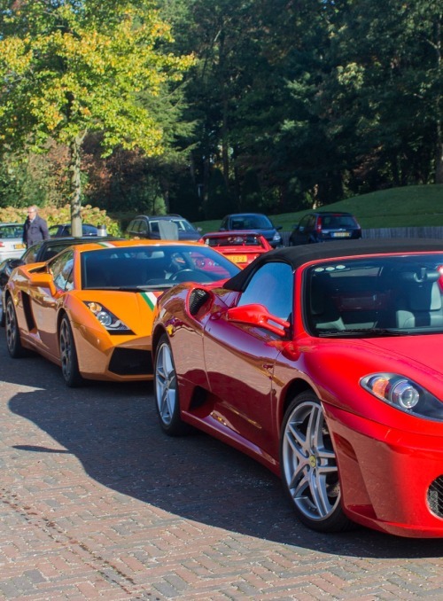 epicexotics