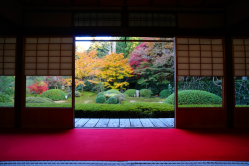 chitaka45:京都 御寺泉涌寺 別院 雲龍院kyoto sennyu-ji unryu-in temple