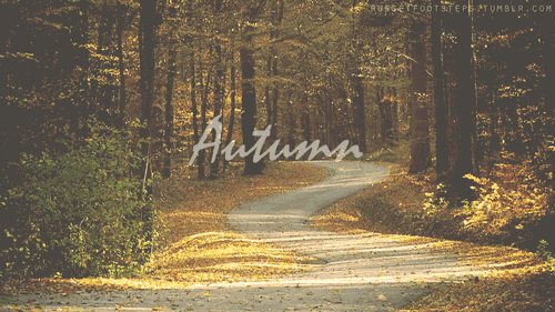 Výsledek obrázku pro tumblr autumn gif