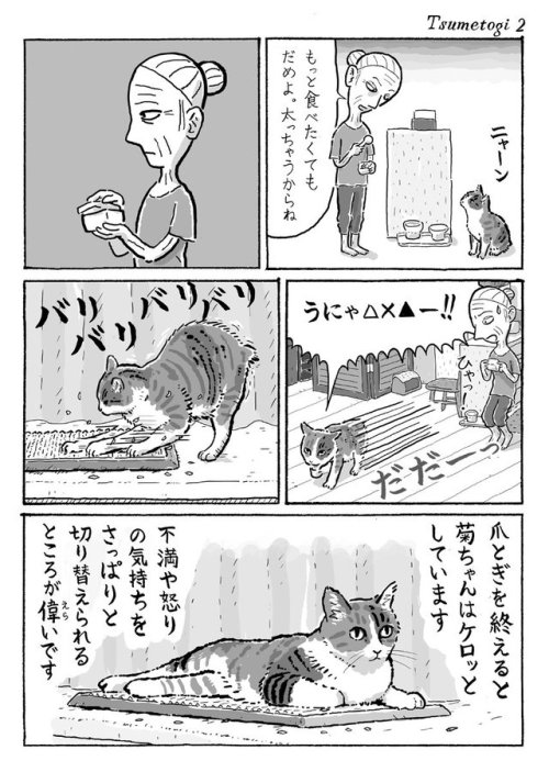 urokuzu-chan:2ページ猫漫画「爪とぎする」 https://t.co/vI14MxDQly