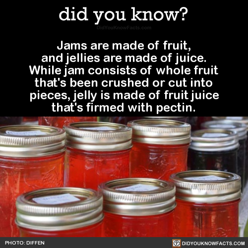 FOOD FACT jams jellies jam vs jelly how it& 039;s made know your food fruit juice pulp spread pectin who cares gimme some fuckin FRENCH TOAST