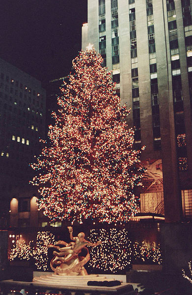 me in progress — Christmas Eve, Thursday December 24, 1987. NYC.