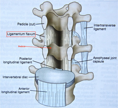 The Art Of Medicine 5361