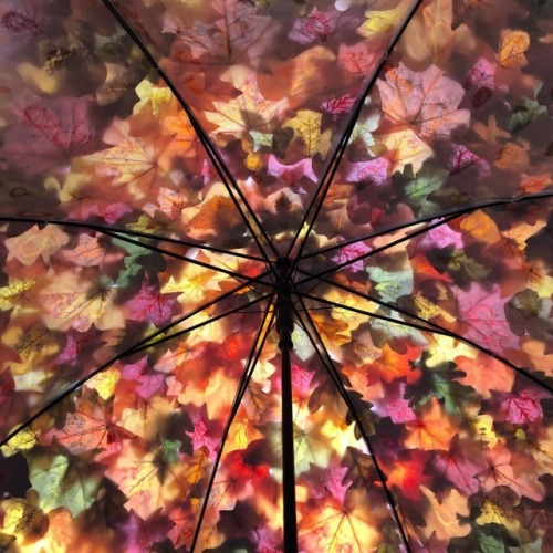 sosuperawesome:Nature-Inspired UmbrellasFlora For Faunas on...