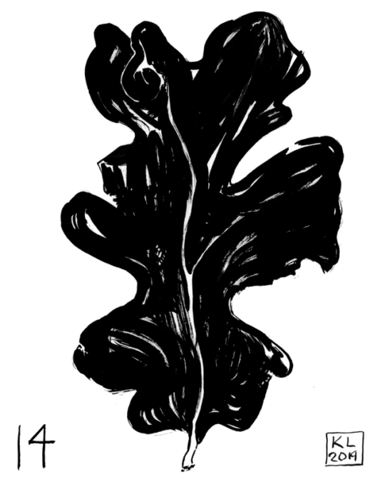 Day 14!