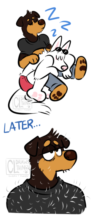 cldrawsthings:tfw your partner is a fluffy white german...