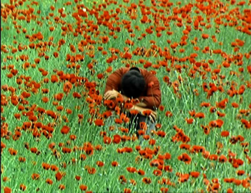 roserosette:The Wishing Tree, 1976, Tengiz Abuladze