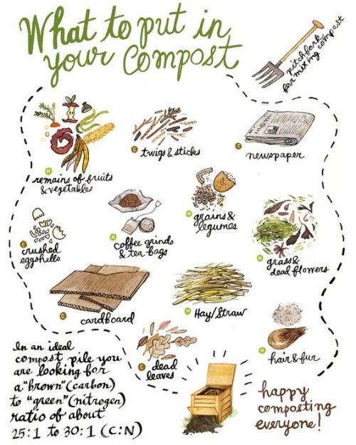 veganhippiechick