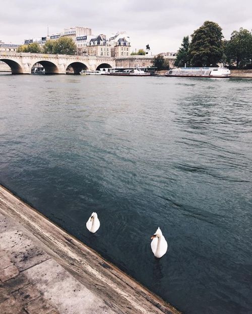 bonjourfrenchwords:Trouver sa moitié et traverser Paris d'un...