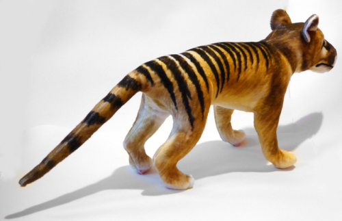 thylacine plush