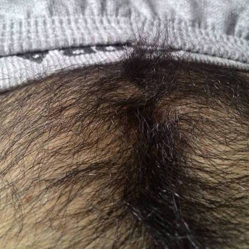 lovemalepubichair:Happy Trail…