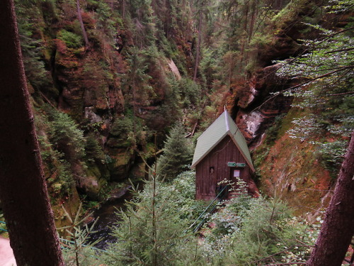 Kirnitzschklamm bei Hinterhermsdorf