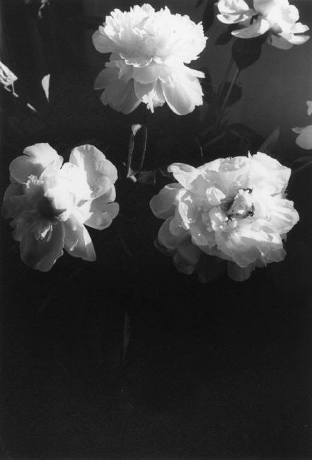 sustentavelimaginario:Ferdinando Scianna