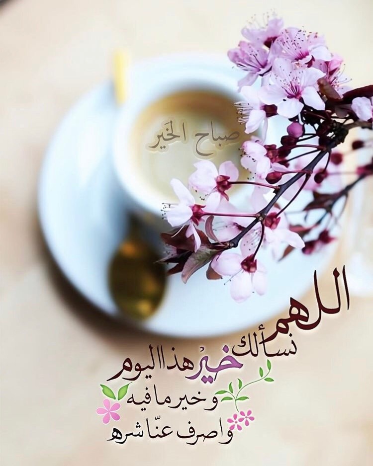 الدعاء هو العبادة .. - صفحة 79 Tumblr_pqwzn7c8k21u46axy_1280