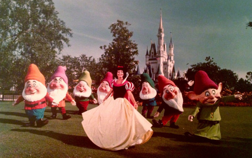 Snow White and her Seven Dwarfs at the Magic Kingdom