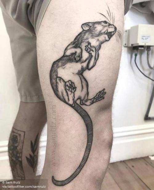 By Sam Rulz, done at Vienna Electric Tattoo, Vienna.... big;animal;rodent;samrulz;thigh;facebook;twitter;rat;engraving;illustrative