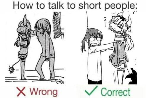 how to talk to short people kobayashi miss kobayashi& 039;s dragon maid kanna kamui old memes i saw the image on the left rereading chap 6 and immediately thought of this this is the best thing i& 039;ve ever thought of