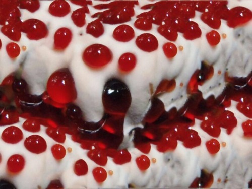 mossful:bleeding tooth fungus