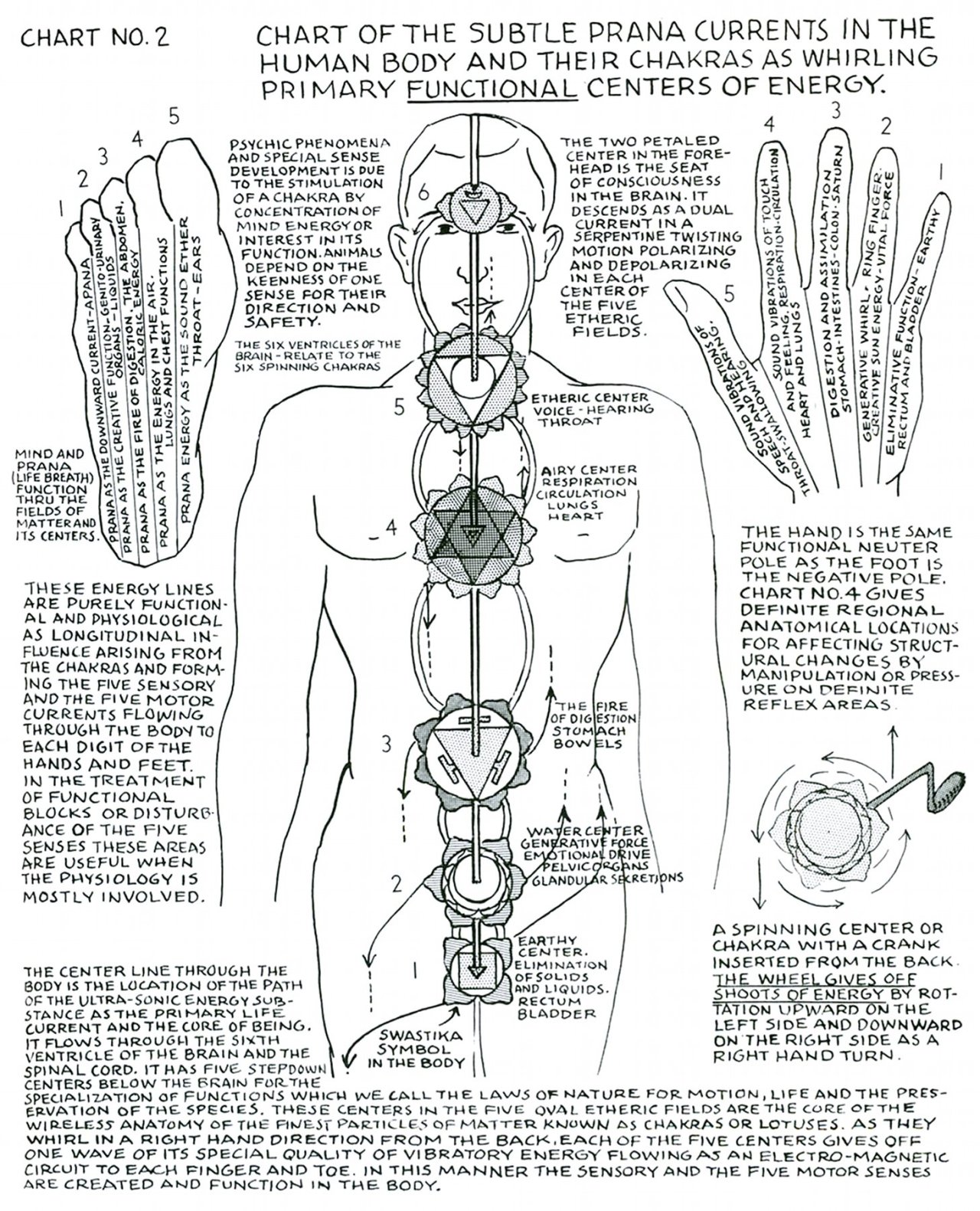 Polarity Therapy Charts
