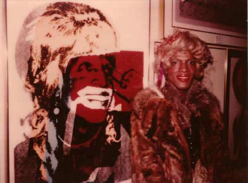 hystericalqueen:gorgeous photos of Marsha P. Johnson (taken by...