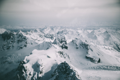 hannahkemp:Denali National Park &...