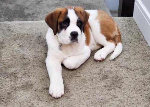 awwpics-org