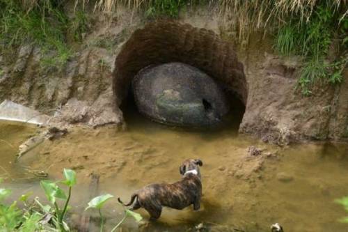 coolthingoftheday:On December 25th of 2015, a farmer named...