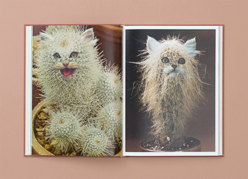 itscolossal:Cats & Plants: A 152-Page Book of Nothing but...