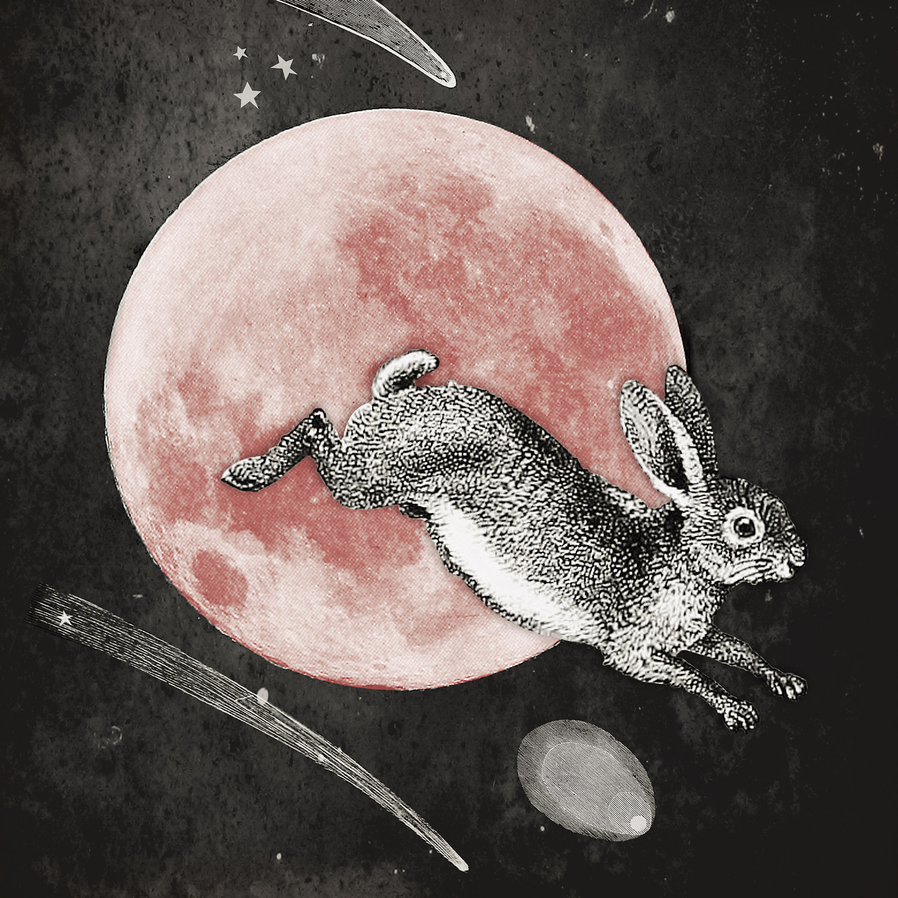 Hopping over the Strawberry Moon - digital collage of copyright free images, 2017, Elizabeth Virginia Levesque Art Blog - lizzelizzel.com Tumblr Redbubble Society6 — Immediately post your art to a topic and get feedback. Join our new community,...