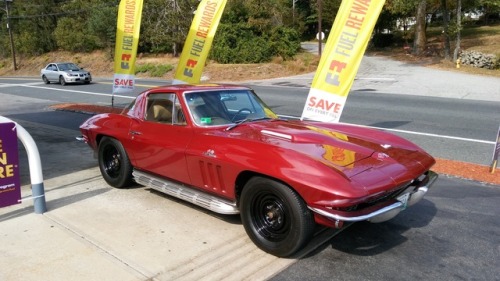 corvettes:1966 Corvette Sting Ray