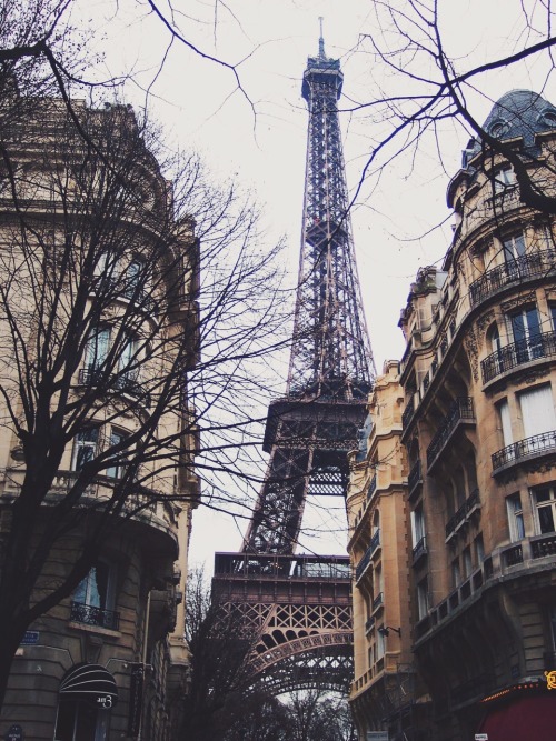 paris france on Tumblr