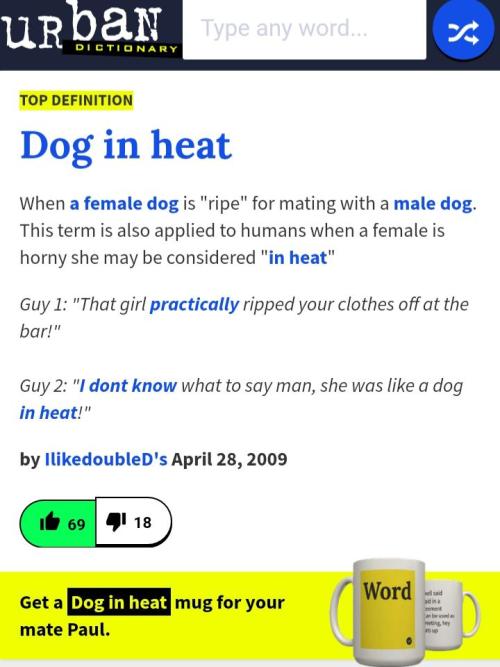 gems-of-urbandictionary