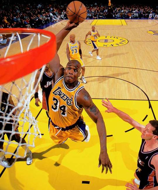 Shaq Tumblr