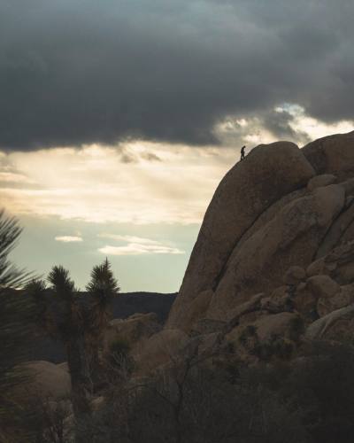 “Push yourself higher.” #joshuratreenationalpark #rockclimbing #travel #familytravel #llpathfinders (at Joshua Tree National Park)