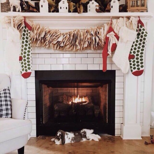 warm and cozy cozyhome