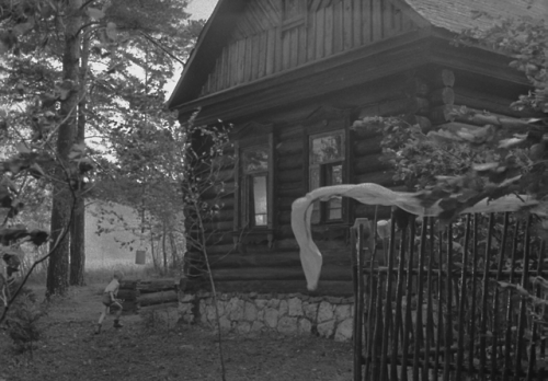 alexalleshater:Mirror (1974) - by Andrei Tarkovsky