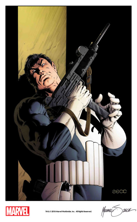 The Punisher by Mike Zeck from his variant cover to The Punisher...