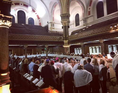 witch-of-the-diaspora:Unfurling the entire Torah scroll for...